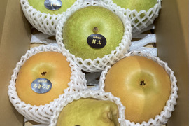 【鳥取県産】和梨・洋梨食べ比べセット　約3kg