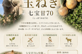 甘〜い　糖度11度　玉ねぎ　七宝甘70群馬県産　有機肥料栽培　化学農薬・除草剤不使用
