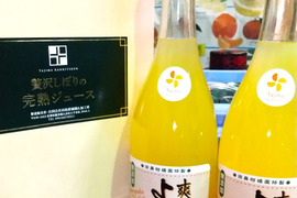 【母の日ギフト　爽やかよしこ】　温州ミカンとクレメンティンのミックス完熟贅沢絞りジュース720㎖　２本セット