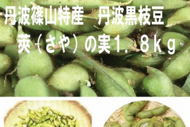 【週末限定セール】丹波篠山産 丹波黒枝豆　新鮮・採れたて配送！　莢（さや）の実　１．８ｋｇ