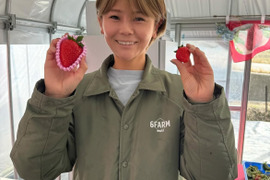 【いちご】奈良ブランド「古都華」プレミアム（６粒）×３　平均糖度１５度　いちご　苺