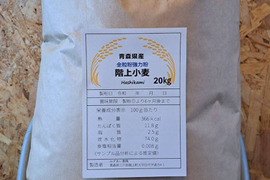 令和5年青森県階上産小麦粉全粒粉20kg