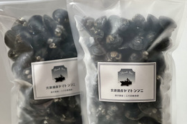 【新パッケージ】宍道湖産ヤマトシジミ・冷凍2kg（お任せサイズ）