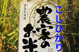 ✳︎新米✳︎令和7年度産★季節の野菜プレゼント付★【白米3キロ】クラフト袋入　　ふっくら・もちもち✴︎冷めても美味しい〜　【深田のお米】千葉県産コシヒカリ