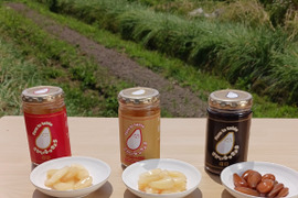 大阪で産まれた『畑の天使』らっきょう！３種類