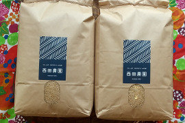 【新米】一等米【特別栽培米コシヒカリ 玄米20kg 】令和5年産・有機・低農薬（80％以上削減）