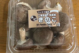 チビしいたけ！！肉厚プリっぷり！【1000g】
