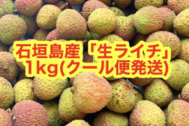 石垣島産「ライチ」1kg