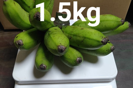 沖縄産 島バナナ 1.5kg
