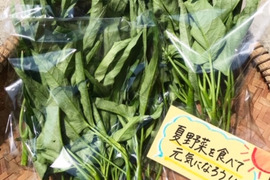夏野菜！元気になろう！空芯菜1㎏　夏バテ防止に！