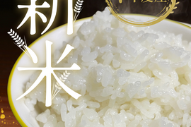 令和7年産新米　玄米5kg　コシヒカリ「福島県産お米」