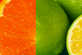 みかん箱込約2㌔レモン箱込約2㌔ 奇跡の出会い！とろける甘さのみかん＆超希少な種なしレモン