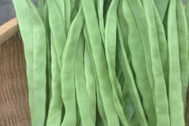 【シャキシャキ】ひらさやインゲン　1キロ