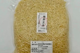 熊本県産 令和7年新米100% 発芽前玄米 15kg ヒノヒカリ れんげ米