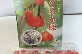 さくらんぼ「佐藤錦」　200gフードパック　2パック入り【朝どれ】