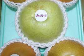 旬の梨5kg【二品種以上食べ比べBOX】【規格外】