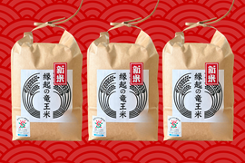 【福袋】３品種食べ比べセット！令和7年産新米【白米2kg×3袋】特別栽培米！1750年から続くお米農家が作った『縁起の竜王米』　滋賀県竜王町産 お米