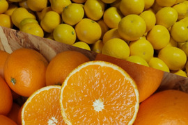 季節の柑橘【食べ比べ】5kg（箱込）