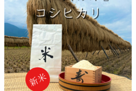 令和7年松本市産『はぜ掛け米』新米コシヒカリ(5kg 送料別)