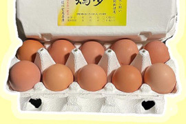 岡崎おうはんの卵【鶏夢】50個入り　平飼い・放し飼い