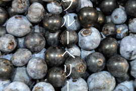【大崎上島産】【500g】朝採れ生ブルーベリー【農薬不使用】
