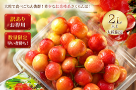 ※残り３箱※早い者勝ち　山形県産　紅王　訳あり　2L〜5L　家庭用