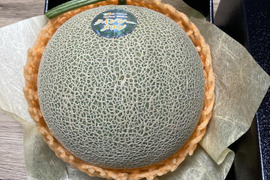 【母の日ギフト】厳選メロン1個化粧箱入り限定10箱