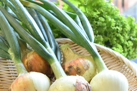 予約受付中【4月中旬より順次出荷】和らぎ農法　サラダ玉ねぎ（1袋）