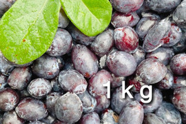 【ジャムづくりに】冷凍ハスカップ•1kg（品種ミックス） ※まとめ買い対応