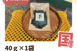 五島列島産 乾燥あおさ チャック付き!! 40g×1袋