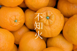 【大崎上島産】【5kg】不知火【2025年1等受賞】