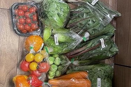 果物プラス🍊【新鮮野菜セット80】