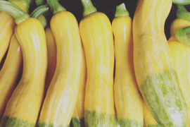 初夏の旬野菜：色も形も可愛いらしい食卓を彩るズッキーニ（500ｇ）とハーブのセット