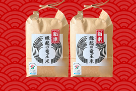【福袋】品種おまかせ食べ比べセット！令和7年産新米【玄米2kg×2袋】特別栽培米！1750年から続くお米農家が作った『縁起の竜王米』　滋賀県竜王町産 お米