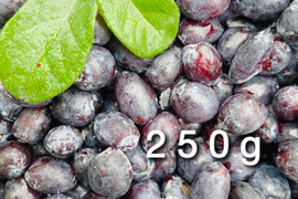 北海道　生ハスカップ2キロ 北海道厚真産 冷凍ハスカップ［はすかっぷサービス］｜北の特