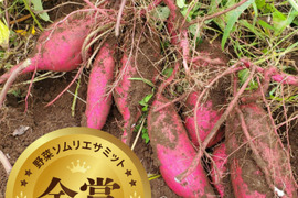 【野菜ソムリエサミット2025金賞受賞🍠甘さだけじゃなく旨さがある!】いもぽこのさつまいも『べにはるか』(80サイズ5㎏未満入るだけ)【サイズ無選別】栽培期間中：農薬・化学肥料不使用