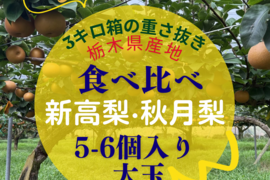 新高梨 あきづき梨 食べ比べセット 栃木産　3キロ(5-6個)