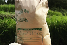 【令和５年産新米(白米)】愛媛県自家農園　農薬・化学肥料・除草剤不使用あきたまち10kg
