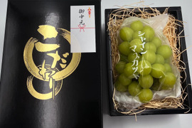 【夏ギフト】【お中元用】化粧箱のし付 特選シャインマスカット 唐津産