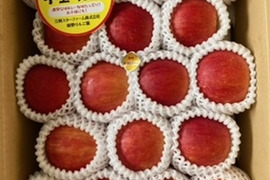 まるごとガブリっ！奥州ロマン☆小玉・食べきりサイズりんご【岩手江刺産】３㎏