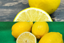 箱込約2㌔×2セット　種なしレモンとマイヤーレモン食べくらべ　（種なしレモン箱込約2㌔　マイヤーレモン箱込約2㌔の食べくらべセット）