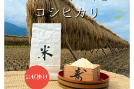 令和7年松本市産『はぜ掛け米』コシヒカリ(5kg 送料別)