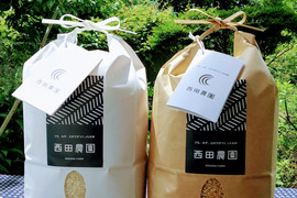 【新米】一等米【味比べ】【コシヒカリ 玄米2kg&精米2㎏ 】令和5年産特別栽培米・有機質肥料のみで栽培・低農薬（80％以上削減）