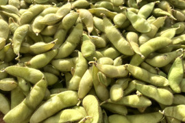 愛知県産  丹波黒豆枝豆約500g