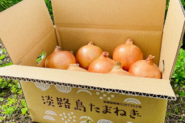 【沖縄配送/5kg】厳選！甘くて柔らか！淡路島玉ねぎ「いくたま」（5kg）