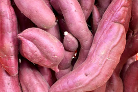 訳ありでも美味しい‼︎ホクホク系「紅あずま」色々なサイズ入り 3キロ箱