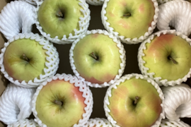 【販売開始！贈答用】 青森県産りんご「ぐんま名月」 約5kg×2箱【光センサー選果】【冬ギフト】