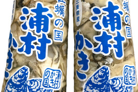 三重県産 Sサイズ岩牡蠣のむき身 20粒入り×2袋 （生食可） 濃厚クリーミーな夏の味覚