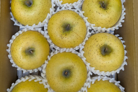 季節外れなのにシャキシャキ！！スマートフレッシュ処理・シナノゴールド約3kg