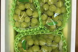 【ご家庭用】晴れの国岡山育ち！大粒シャインマスカット 2kg （3〜4房）